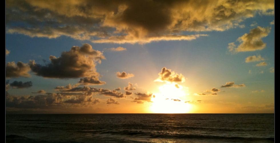 Anti Juan Salvador Gaviota